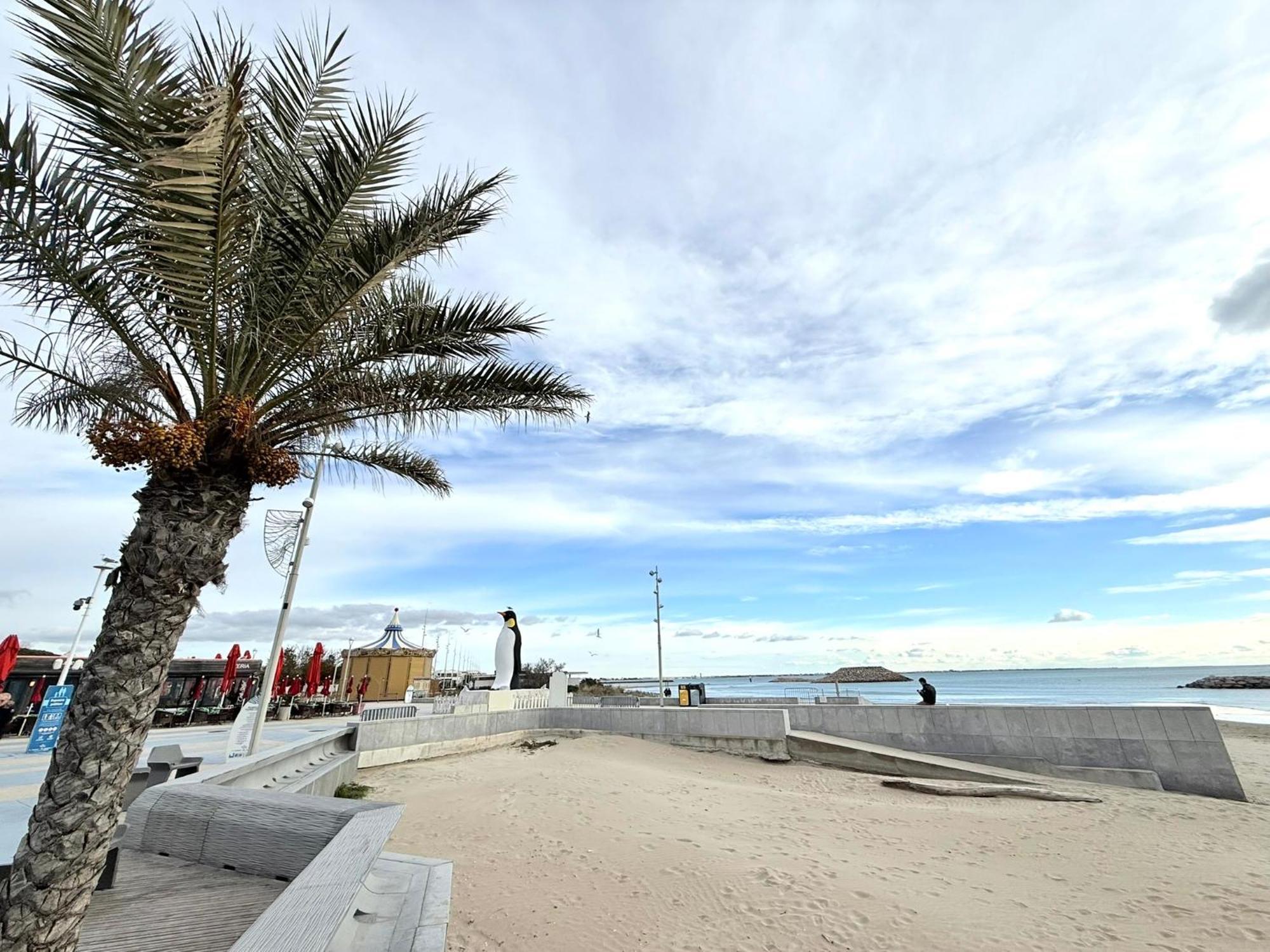 Appart Grande Motte Quartier Couchant - Parking - Balcon- Piscine - Plage 300M La Grande Motte Dış mekan fotoğraf